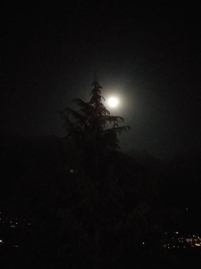 Hotel Seven Hills Manali المظهر الخارجي الصورة