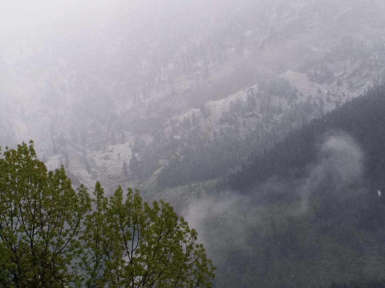 Hotel Seven Hills Manali المظهر الخارجي الصورة